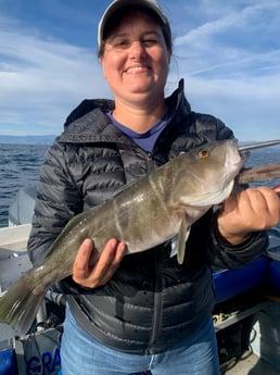 Fishing in Oxnard, California