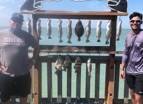 Flounder, Sheepshead, Speckled Trout / Spotted Seatrout fishing in South Padre Island, Texas