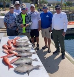 Triggerfish, Vermillion Snapper Fishing in Orange Beach, Alabama