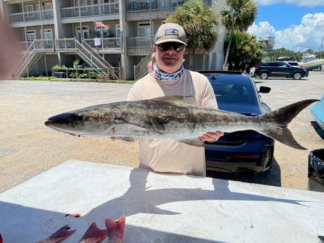 Cobia fishing in Pensacola, Florida