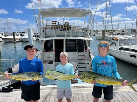 Mahi Mahi Fishing in West Palm Beach, Florida