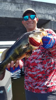 Peacock Bass fishing in Fort Lauderdale, Florida