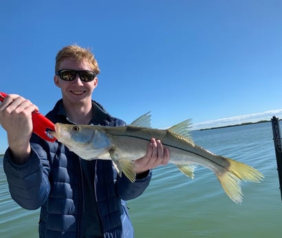 Snook Fishing in Key Largo, Florida