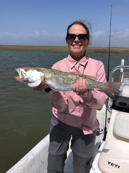 Black Drum, Flounder, Speckled Trout / Spotted Seatrout fishing in Surfside Beach, Texas