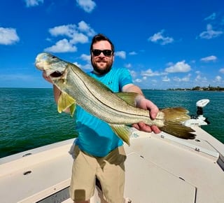 Fishing in Sarasota, Florida