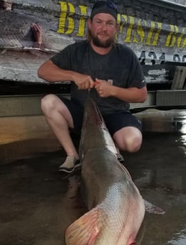 Alligator Gar fishing in Livingston, Texas