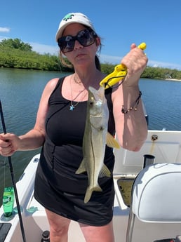 Largemouth Bass fishing in Clearwater, Florida