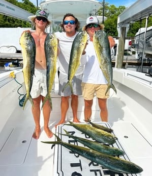 Mahi Mahi Fishing in Islamorada, Florida