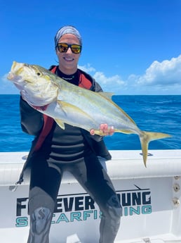 Yellowtail Amberjack fishing in Islamorada, Florida