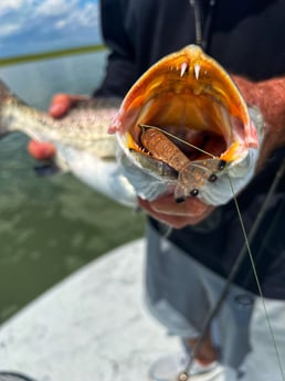 Speckled Trout Fishing in Galveston, Texas