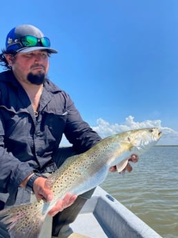 Speckled Trout / Spotted Seatrout fishing in Matagorda, Texas