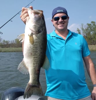 Largemouth Bass fishing in Austin, Texas