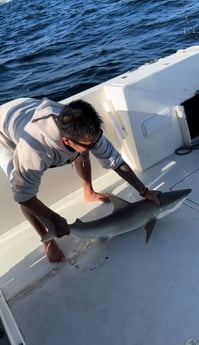 Fishing in Port Orange, Florida