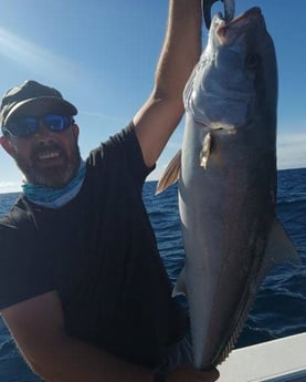 Amberjack Fishing in Clearwater, Florida