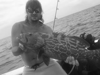 Black Grouper Fishing in Key Largo, Florida