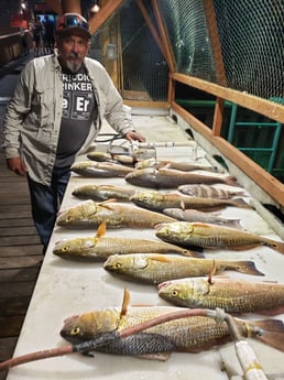 Redfish, Sheepshead fishing in Port Isabel, Texas