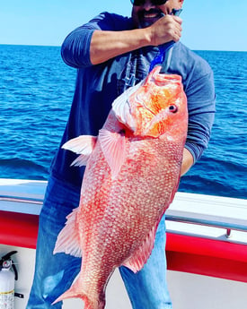 Red Snapper fishing in Panama City Beach, Florida