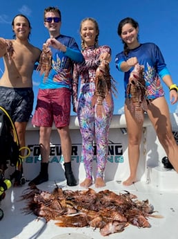 Lionfish fishing in Islamorada, Florida