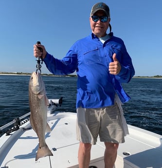 Redfish Fishing in Destin, Florida