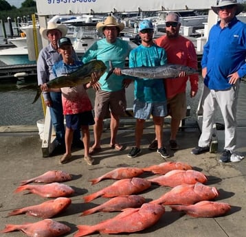 Mahi Mahi / Dorado, Red Snapper, Wahoo fishing in Freeport, Texas