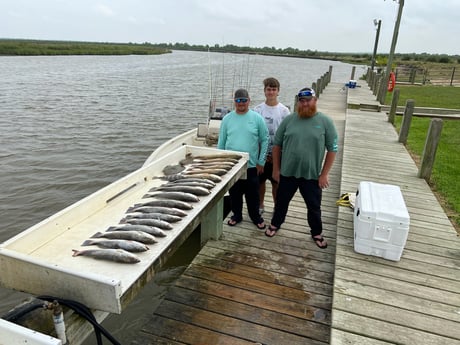 Redfish, Sheepshead, Speckled Trout / Spotted Seatrout fishing in Freeport, Texas