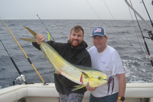 Mahi Mahi / Dorado fishing in Galveston, Texas