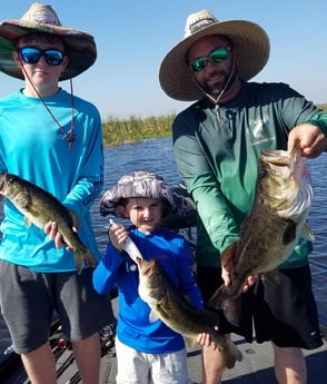 Largemouth Bass fishing in Fort Lauderdale, Florida