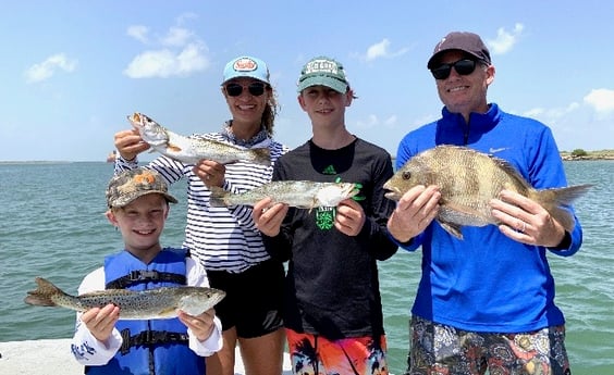 Sheepshead, Speckled Trout / Spotted Seatrout fishing in Port Aransas, Texas