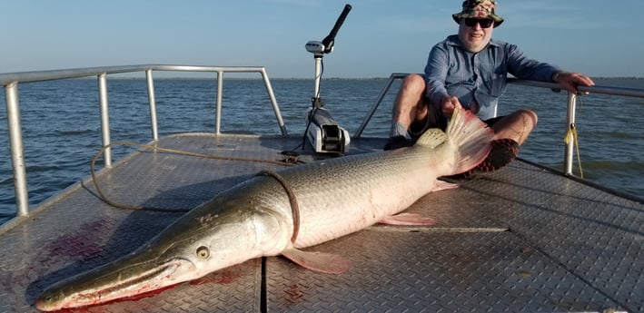 Alligator Gar fishing in Livingston, Texas