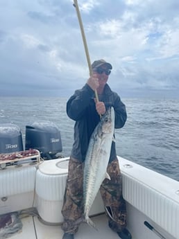 King Mackerel / Kingfish fishing in Venice, Louisiana