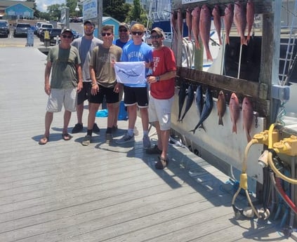 Gag Grouper, Little Tunny / False Albacore, Red Snapper fishing in Destin, Florida