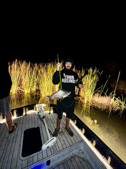 Bream Fishing in Port Canaveral, Florida, USA