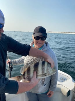 Sheepshead Fishing in Pensacola, Florida