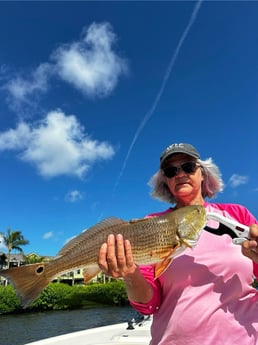 Fishing in Sarasota, Florida