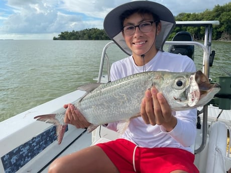 Tarpon fishing in Tavernier, Florida