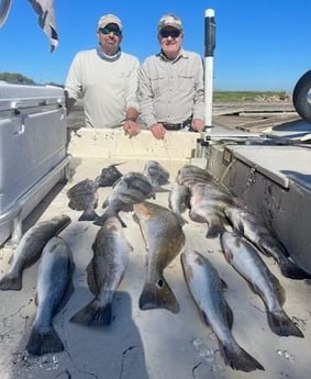 Black Drum, Redfish, Sheepshead, Speckled Trout / Spotted Seatrout Fishing in Galveston, Texas