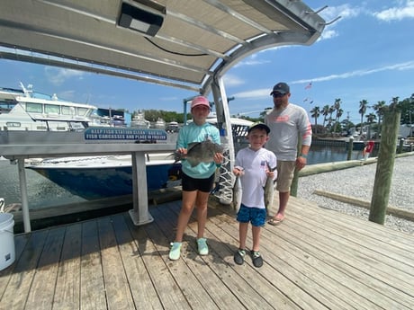 Spanish Mackerel, Triggerfish Fishing in Destin, Florida