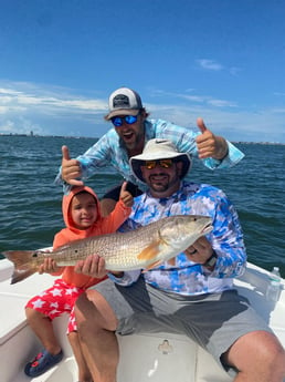 Redfish fishing in Sarasota, Florida