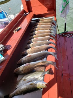 Redfish, Speckled Trout / Spotted Seatrout fishing in South Padre Island, Texas