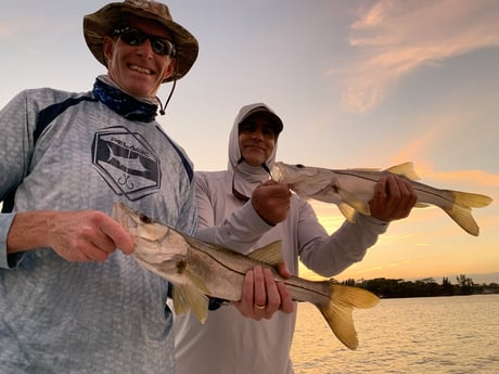 Snook Fishing in Jupiter, Florida