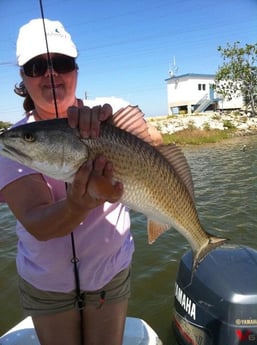 Redfish fishing in Clear Lake Shores, Texas