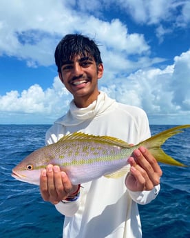 Yellowtail Snapper Fishing in Islamorada, Florida