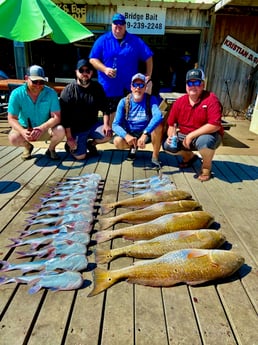 Hardhead Catfish, Redfish Fishing in Surfside Beach, Texas