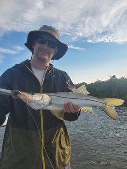 Snook fishing in New Smyrna Beach, Florida