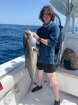 Amberjack fishing in Galveston, Texas