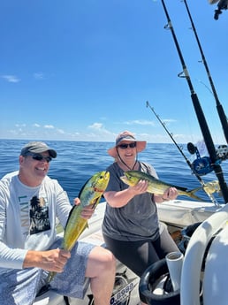 Mahi Mahi Fishing in Fort Lauderdale, Florida