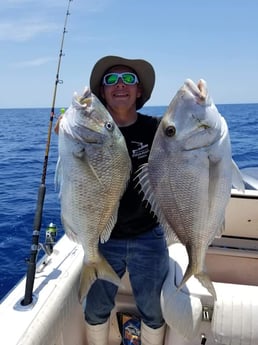 Grunt fishing in Clearwater, Florida