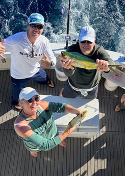 Mahi Mahi / Dorado Fishing in Pompano Beach, Florida