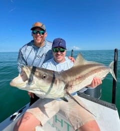 Cobia Fishing in Key Largo, Florida