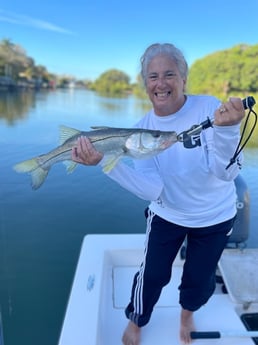 Snook Fishing in Sarasota, Florida